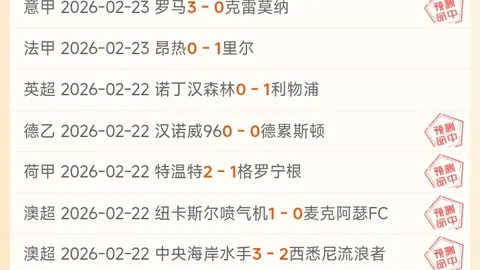 外交部助力，中英双边关系稳固前行